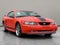 2004 Ford Mustang Mach 1 Premium