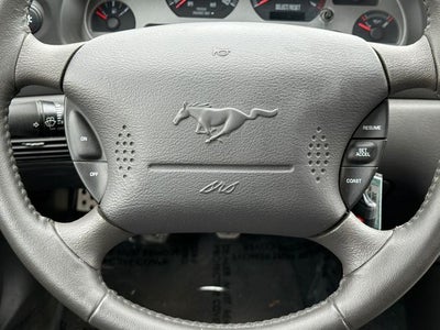 2004 Ford Mustang Mach 1 Premium