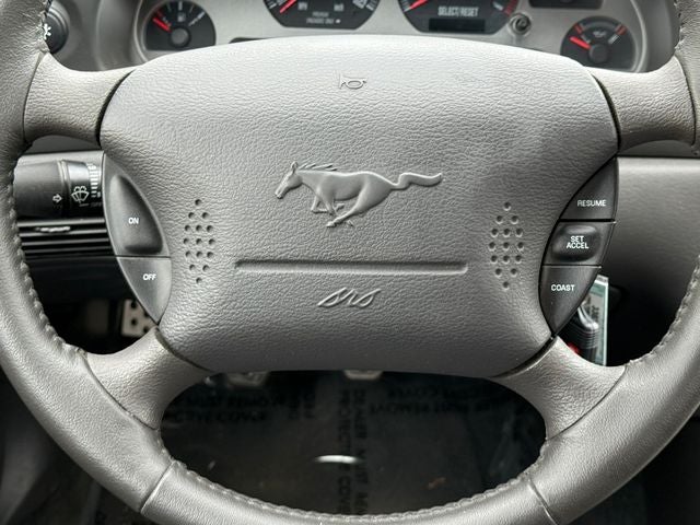 2004 Ford Mustang Mach 1 Premium